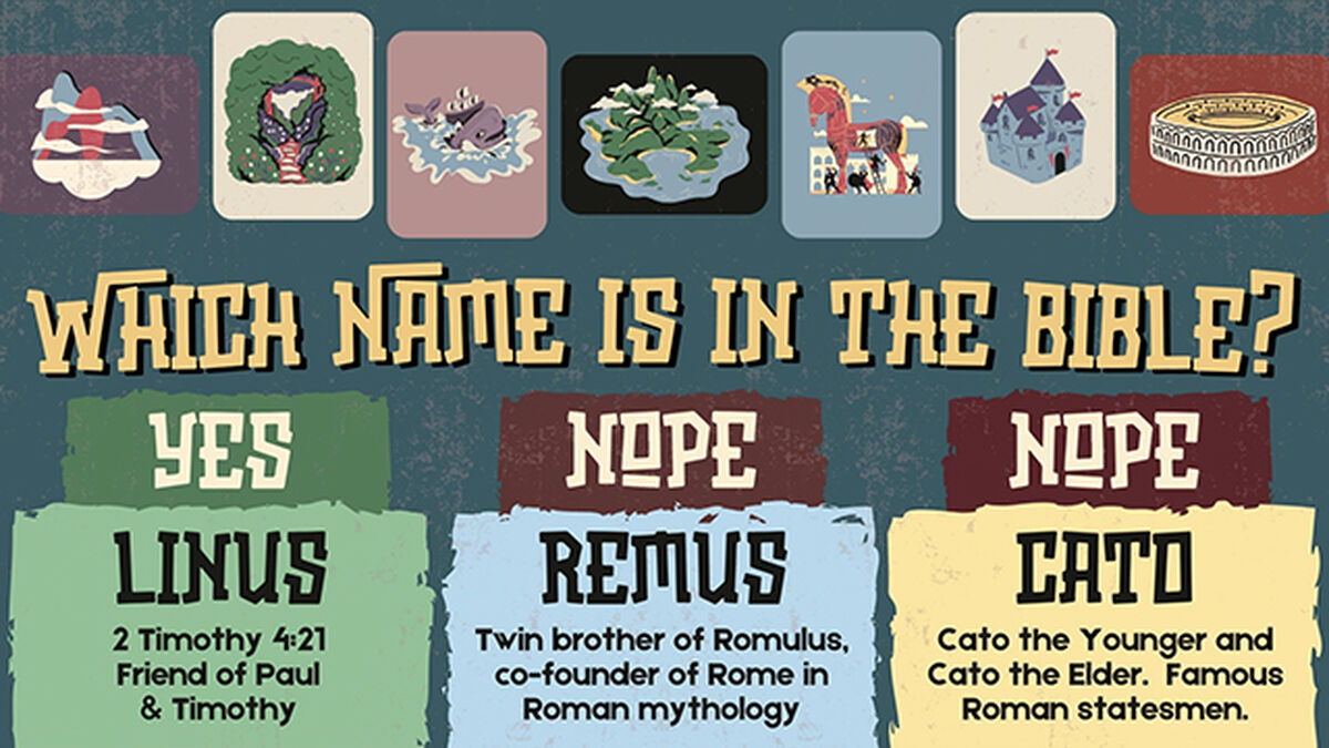The Name Game: Volume 2 image number null